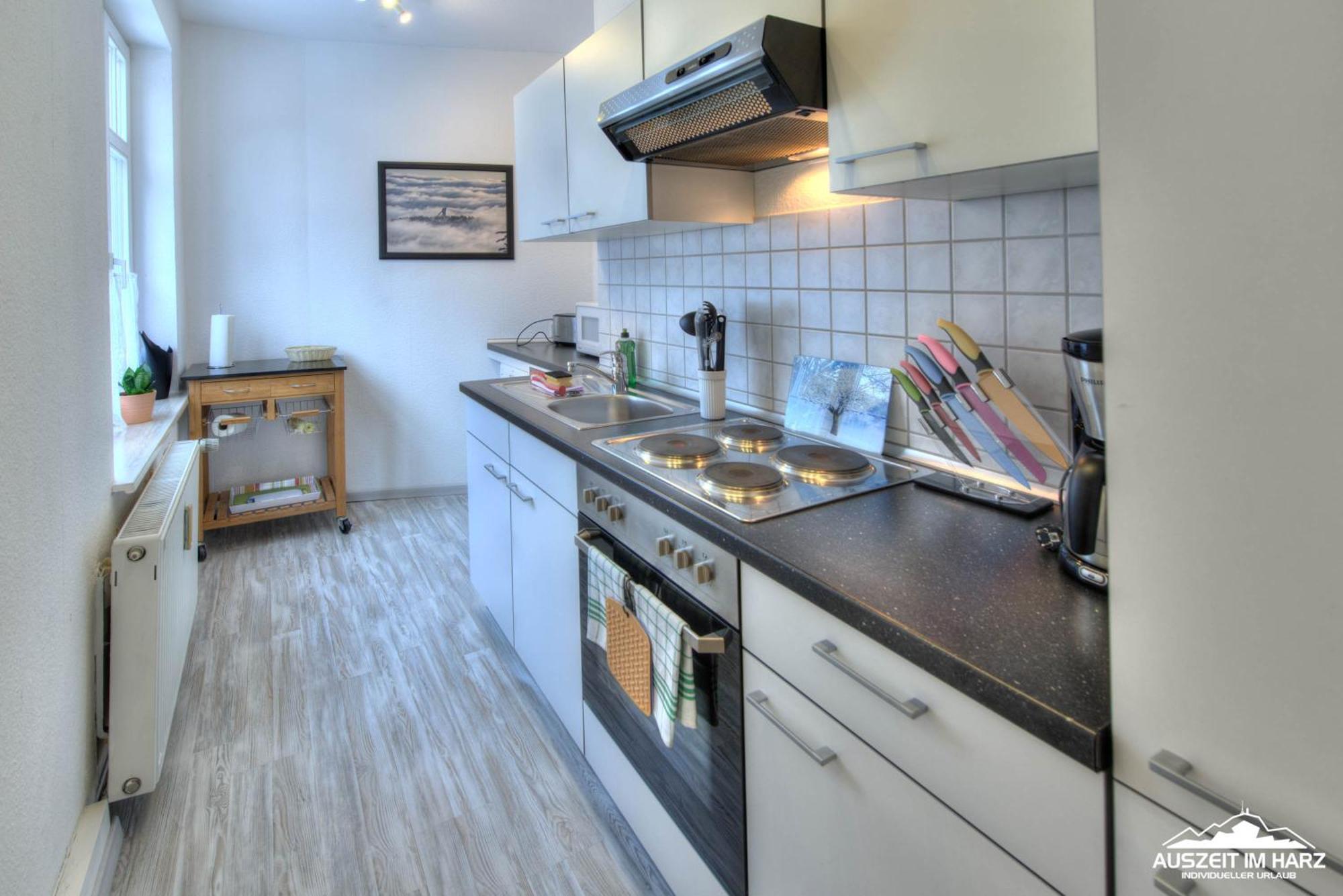 Auszeit Im Harz Haus 1 Wohnung Feuerstein Ширке Екстер'єр фото